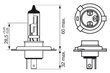 Bosch ECO H4 12V 60/55W Plus 100 hinta ja tiedot | Polttimot | hobbyhall.fi