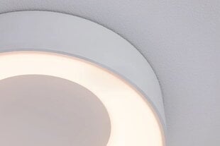 Paulmann HomeSpa LED Casca IP44 Valkoinen kytkin 2300 lm 230V 16 W hinta ja tiedot | Paulmann Huonekalut ja sisustus | hobbyhall.fi