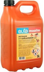 2T alkylaattibensiini Automailm 5L hinta ja tiedot | Voiteluöljyt ja -nesteet | hobbyhall.fi