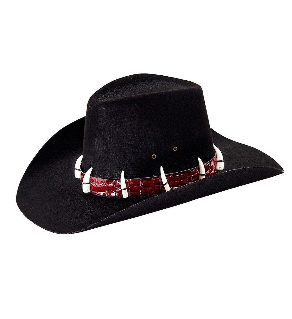 Dandy cowboy-hattu hinta ja tiedot | Naamiaisasut | hobbyhall.fi