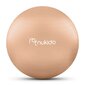 Fitnesspallo 65cm NS-951 beige hinta ja tiedot | Muut urheiluvälineet | hobbyhall.fi