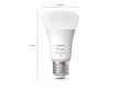 PHILIPS HUE COLOR 3 X E27 BULB + BRIDGE + 2 X DIMMER SWITCH START KIT hinta ja tiedot | Lamput | hobbyhall.fi