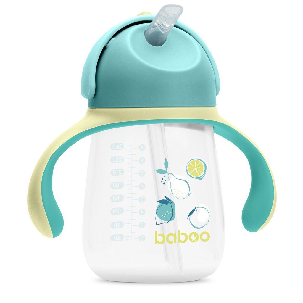 Baboo pillipullo, 260 ml, Lagoon Fiesta, vihreä, 9kk hinta ja tiedot | Tuttipullot ja tarvikkeet | hobbyhall.fi