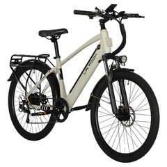 Sähköpyörä Laifook Seeker, 26", 250W, beige hinta ja tiedot | Sähköpyörät | hobbyhall.fi