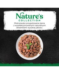 Sheba Nature's Collection kalkkunaa ja porkkanoita, 22 x 85 g hinta ja tiedot | Sheba Lemmikit | hobbyhall.fi