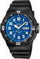 Miesten rannekello Casio MRW-200H-2B2 hinta ja tiedot | Miesten kellot | hobbyhall.fi