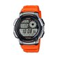 Miesten kello Casio WORLD TIME ILLUMINATOR S7273602 hinta ja tiedot | Miesten kellot | hobbyhall.fi