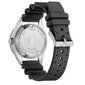 Miesten kello Citizen Promaster Marine Automatic Diver Challenge NY0120-01ZE hinta ja tiedot | Miesten kellot | hobbyhall.fi