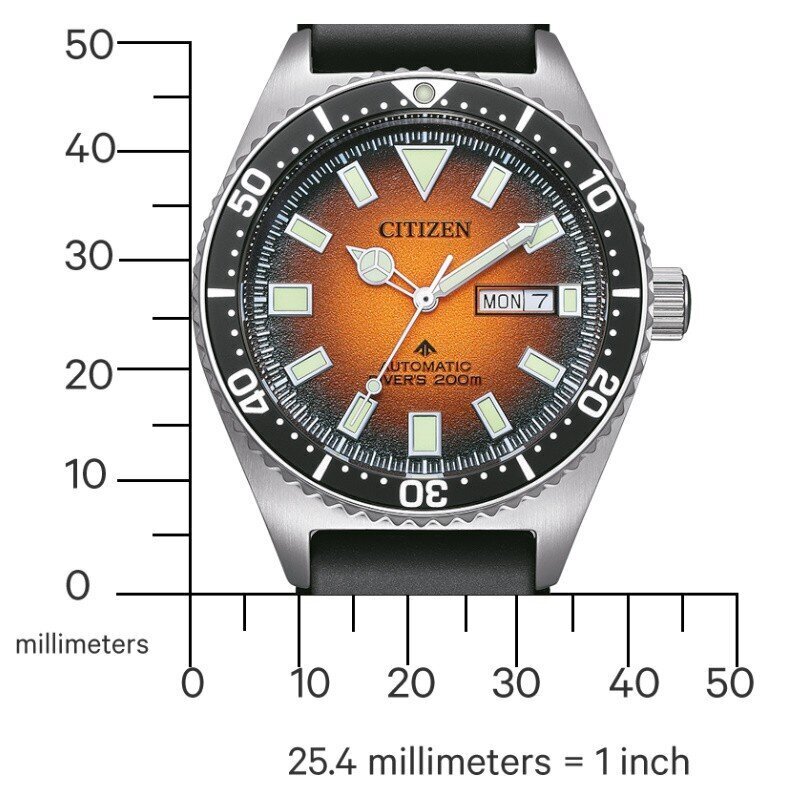 Miesten kello Citizen Promaster Marine Automatic Diver Challenge NY0120-01ZE hinta ja tiedot | Miesten kellot | hobbyhall.fi