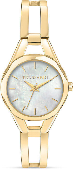 Trussardi Metropolitan R2453159501 hinta ja tiedot | Naisten kellot | hobbyhall.fi