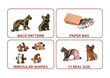 Puinen palapeli - palapeli Animals Wooden City, 505 d. hinta ja tiedot | Palapelit | hobbyhall.fi