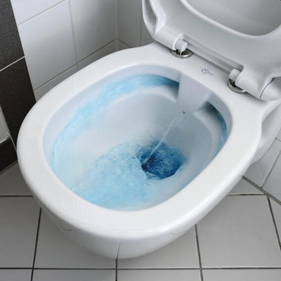 Ripustettu wc Ideal Standard WC EUROVIT Rimless K881001/W303001 hitaasti laskevalla kannella hinta ja tiedot | WC-istuimet | hobbyhall.fi