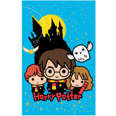 harry potter peitto 100x150 cm hinta ja tiedot | Päiväpeitot ja huovat | hobbyhall.fi