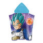 dragon ball pyyhe, 55x110cm hinta ja tiedot | Pyyhkeet | hobbyhall.fi