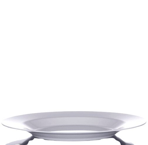 Särkymättömät lautaset WHITE PLATE 27cm, 12kpl hinta ja tiedot | Astiat | hobbyhall.fi