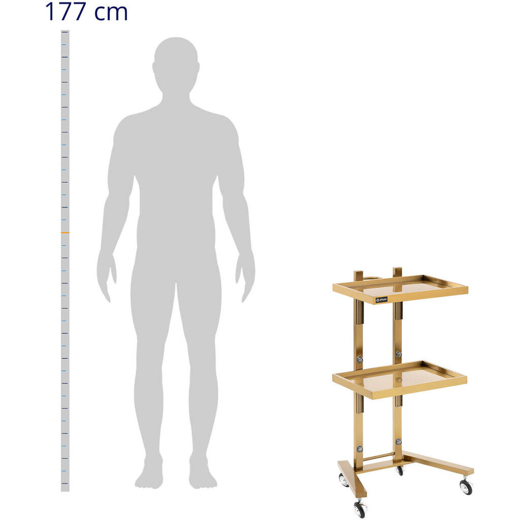 Metallinen kampaamo-apuvaunu 2 hyllyllä 40 x 86 x 50 cm - kultaa hinta ja tiedot | Manikyyri ja pedikyyri | hobbyhall.fi