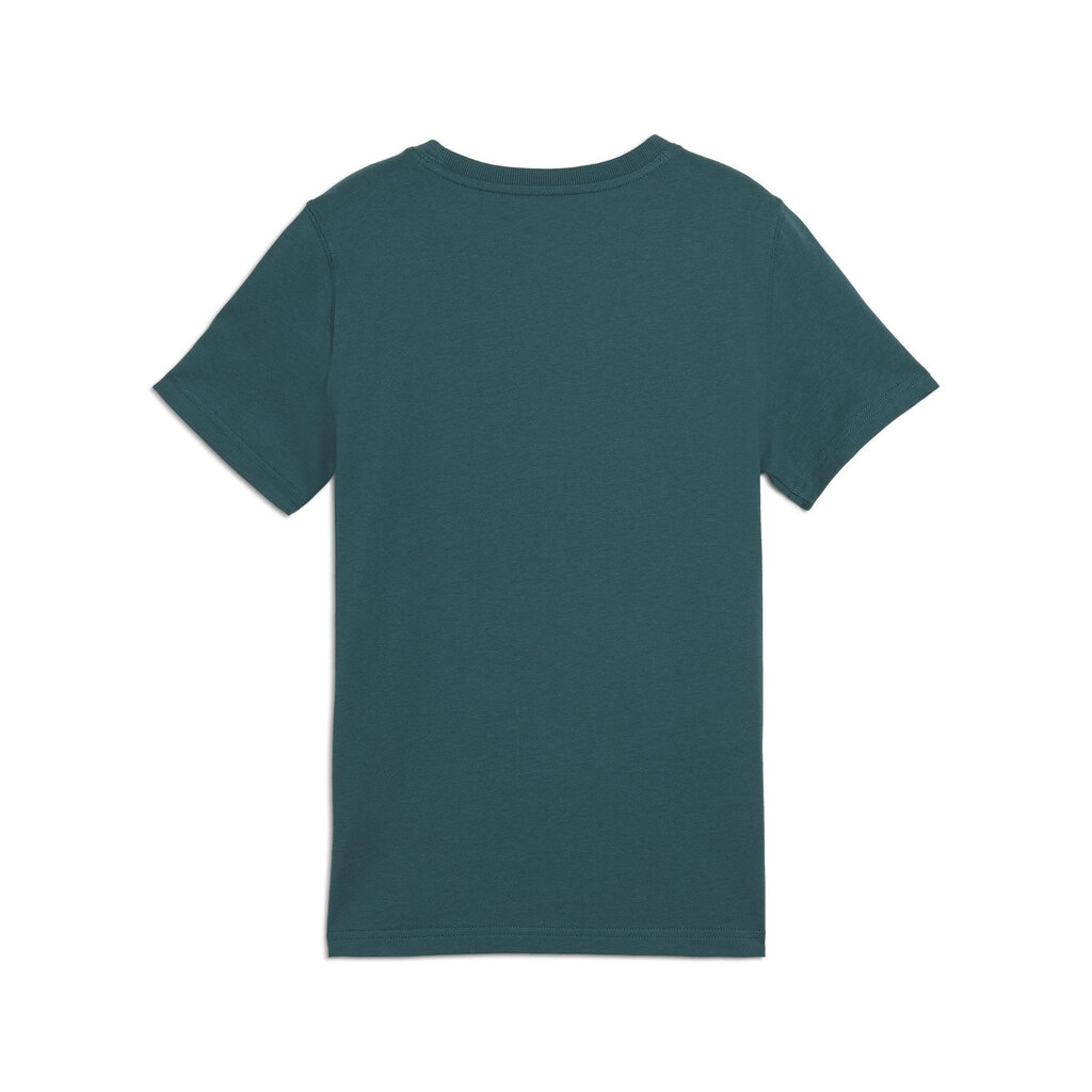 Puma T-paidat Nuorille Squad Big Tee Green 682772 22 682772 22/164 hinta ja tiedot | Miesten puserot ja hupparit | hobbyhall.fi