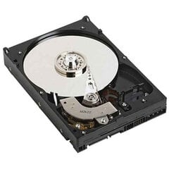 Kiintolevy Dell NPOS 3,5" 1 TB 7200 rpm hinta ja tiedot | Ulkoiset kovalevyt | hobbyhall.fi