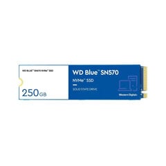 Western Digital Blue 250 Gt SSD BFN-BB-S55130441 hinta ja tiedot | Ulkoiset kovalevyt | hobbyhall.fi