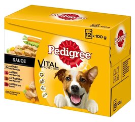 Pedigree koiran säilykesarja Vital Protection, 12x100 g hinta ja tiedot | Koiran märkäruoka | hobbyhall.fi