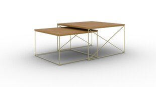 2-osan kahvipöytäsetti ADRK Furniture Licco, ruskea/kultainen hinta ja tiedot | Sohvapöydät | hobbyhall.fi