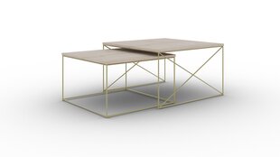 2 kahvipöydän setti ADRK Furniture Licco, ruskea/kultainen hinta ja tiedot | Sohvapöydät | hobbyhall.fi