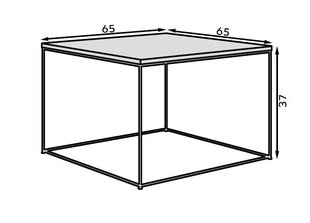 Kahvipöytä ADRK Furniture Roni, valkoinen/kultainen hinta ja tiedot | Sohvapöydät | hobbyhall.fi