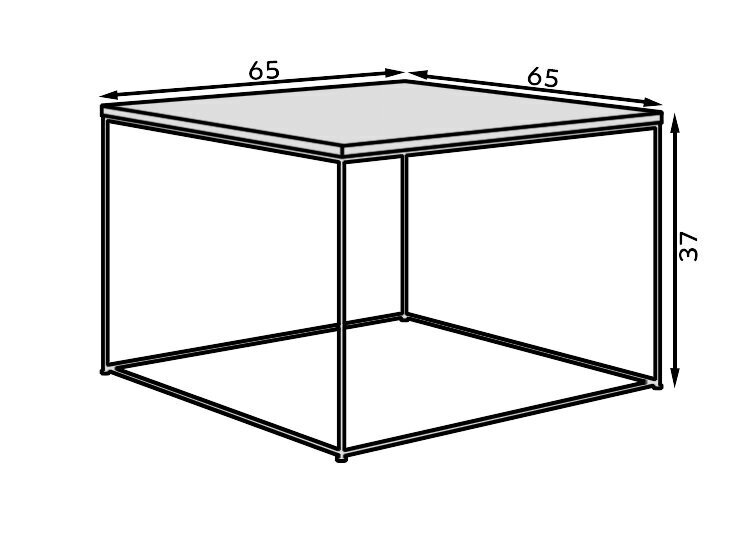 Kahvipöytä ADRK Furniture Roni, ruskea/kultainen hinta ja tiedot | Sohvapöydät | hobbyhall.fi