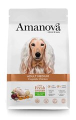 Amanova Adult Medium Exquisite Chicken keskikokoisille aikuisille koirille kanan kanssa, 2 kg hinta ja tiedot | Koiran kuivaruoka | hobbyhall.fi