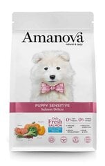 Amanova Puppy Sensitive Salmon Deluxe nuorille pennuille lohen kanssa, 2 kg hinta ja tiedot | Koiran kuivaruoka | hobbyhall.fi