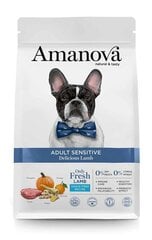 Amanova Adult Sensitive Delicious Lamb aikuisille koirille lammas, 2 kg hinta ja tiedot | Koiran kuivaruoka | hobbyhall.fi