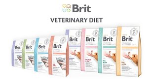 Brit Veterinary Calm &amp; Stress Relief 2kg hinta ja tiedot | Kissan kuivaruoka | hobbyhall.fi