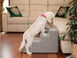 Hobbydog koiran portaat Inari, harmaa, 60x40x40 cm hinta ja tiedot | Pedit ja pesät | hobbyhall.fi