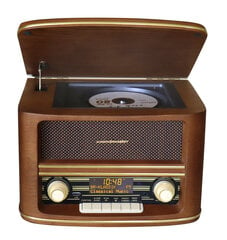 Stereo DAB+/FM-radio hinta ja tiedot | Stereojärjestelmät | hobbyhall.fi