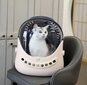 De'Luxe Pet Carrier -reppu KITTY hinta ja tiedot | Kuljetushäkit ja kuljetuslaatikot | hobbyhall.fi