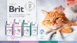 Brit Veterinary Cat Steriloitu lohella, 2 kg hinta ja tiedot | Kissan kuivaruoka | hobbyhall.fi