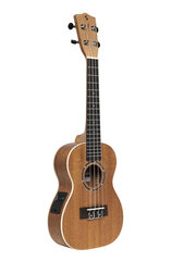 Sähköakustinen konsertti ukulele Stagg UC-30 E hinta ja tiedot | Kitarat | hobbyhall.fi