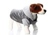 Takki Amiplay Boston, S, harmaa hinta ja tiedot | Koiran vaatteet | hobbyhall.fi