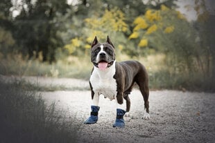 Koiran kengät Amiplay Bristol, punainen, XXS hinta ja tiedot | Koiran vaatteet | hobbyhall.fi