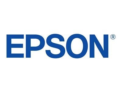 EPSON muste T596C00 valkoinen Stylus WT 7900 hinta ja tiedot | Tulostustarvikkeet | hobbyhall.fi