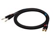 SSQ 2xRCA/6,3 mm, 1 vuosi hinta ja tiedot | Kaapelit ja adapterit | hobbyhall.fi