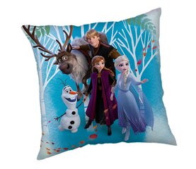 Jerry Fabrics koristetyyny Frozen 02 Family hinta ja tiedot | Koristetyynyt ja tyynynpäälliset | hobbyhall.fi