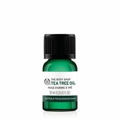 Teepuuöljy kasvoille The Body Shop, 20 ml hinta ja tiedot | Kasvovoiteet | hobbyhall.fi