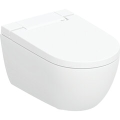 Geberit AquaClean Alba WC-kattila pesutoiminnolla, riippuva WC-kattila, valkoinen 146.350.01.1 hinta ja tiedot | WC-istuimet | hobbyhall.fi