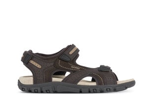 Miesten sandaalit Geox Uomo Sandal Strada, ruskea hinta ja tiedot | Miesten sandaalit ja tossut | hobbyhall.fi