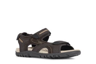 Miesten sandaalit Geox Uomo Sandal Strada, ruskea hinta ja tiedot | Miesten sandaalit ja tossut | hobbyhall.fi