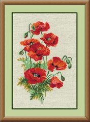 Kirjontasarja Riolis 808 Wild poppies hinta ja tiedot | Kirjontatarvikkeet | hobbyhall.fi