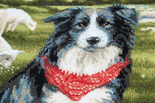 Kirjontasarja Riolis 1767 Bordercollie hinta ja tiedot | Kirjontatarvikkeet | hobbyhall.fi