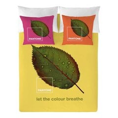 Nordic Cover Nature Pantone hinta ja tiedot | Pussilakanat ja tyynyliinat | hobbyhall.fi