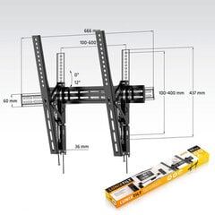 Axil 0571E 32-65" hinta ja tiedot | Axil Kodinkoneet ja kodinelektroniikka | hobbyhall.fi